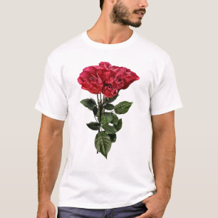 Camiseta Rosas Vermelhas e Folhas