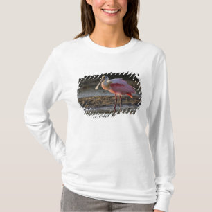 Camiseta Roseate Spoonbill, Ajaia ajaja, Querido Ding
