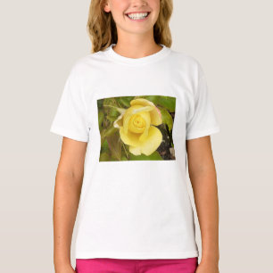 Camiseta Rosebud Amarelo