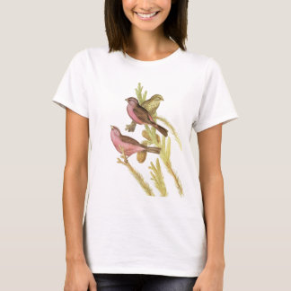 Camiseta Rosefinch Vermelho-envolvido