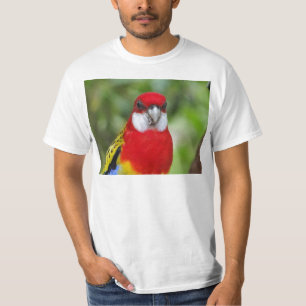 Camiseta Rosella oriental masculino
