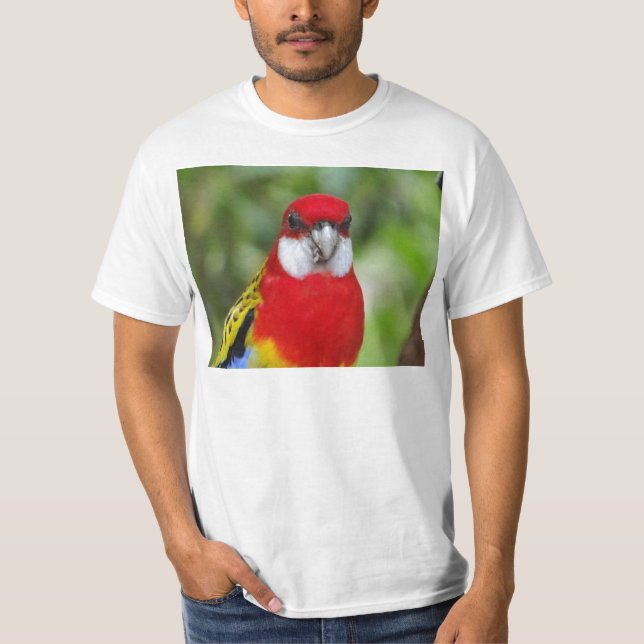 Camiseta Rosella oriental masculino (Frente)