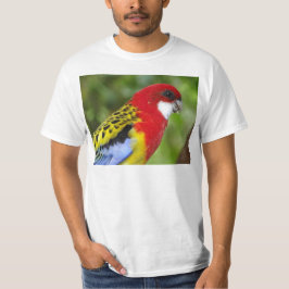 Camiseta Rosella oriental masculino