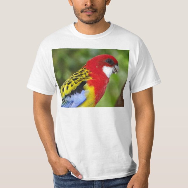 Camiseta Rosella oriental masculino (Frente)
