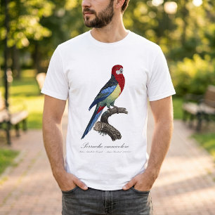 Camiseta Rosella-oriental ou periquito Platycercus eximius