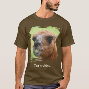 Camiseta Rosto de Lhama Zangada Personalizado