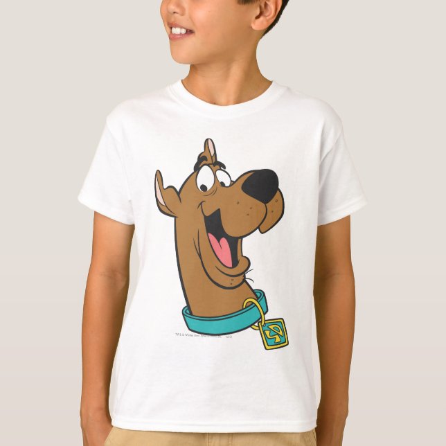 Camiseta Rosto Feliz Scooby-Doo (Frente)