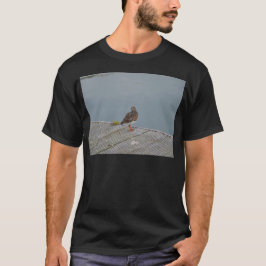 Camiseta Rostroláparo