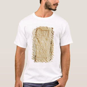 Camiseta Roteiro Cuneiform em uma parede do palácio