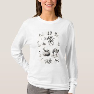 Camiseta Rotule D de uma primeira demão do alfabeto, 1832