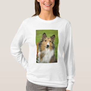 Camiseta Rough Collie, cachorro