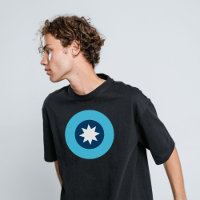 Roundel de Bandeira do Estado do Minnesota
