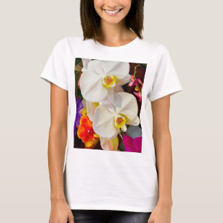 Camiseta roupa