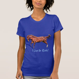 Camiseta Roupa do Designer de Equinos de Cavalos