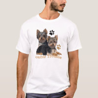 Roupa dobro do problema do yorkshire terrier