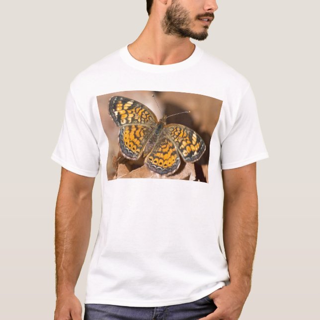 Camiseta Roupas e Presentes de Mariposa Marrom e Laranja (Frente)
