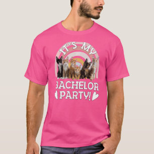 Camiseta Roupas masculinas festa de despedida de solteiro c