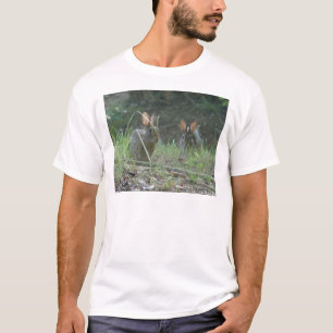 Camiseta Roupas Presentes Par de Coelhos Selvagens Cottonta