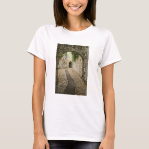 Camiseta Rua de paralelepípedos cinza, França