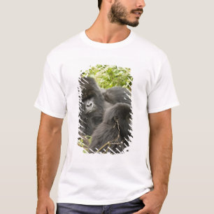 Camiseta Ruanda, Parque Nacional dos Vulcões