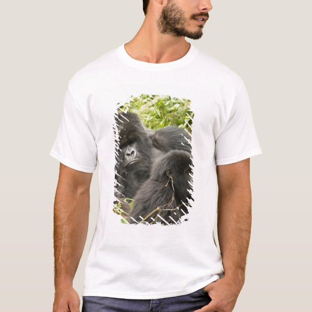 Camiseta Ruanda, Parque Nacional dos Vulcões (Frente)