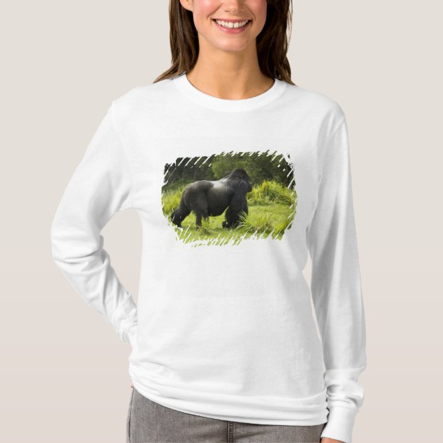 Camiseta Ruanda, Parque Nacional dos Vulcões (Frente)