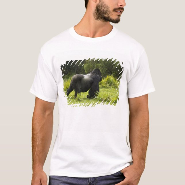 Camiseta Ruanda, Parque Nacional dos Vulcões (Frente)