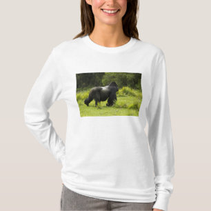 Camiseta Ruanda, Parque Nacional dos Vulcões