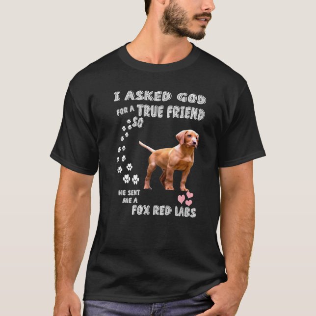 Camiseta Ruby Labrador Cachorro Mãe Cotação Pai Figurume Cu (Frente)