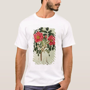 Camiseta Rugosa de Rosa, 'da flora Japonica