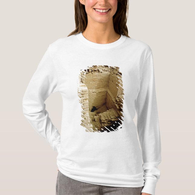 Camiseta Ruína do palácio (Frente)