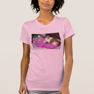 Camiseta Rupert e rosas - cobaia