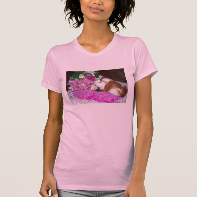 Camiseta Rupert e rosas - cobaia (Frente)