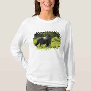 Camiseta Rwanda, parque nacional dos vulcões. Montanha 2