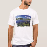 S.A., Brasil, Vias navegáveis no Pantanal