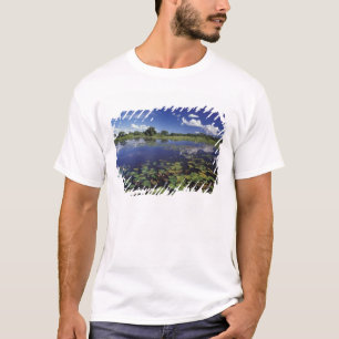 Camiseta S.A., Brasil, Vias navegáveis no Pantanal