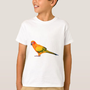 Camiseta S é para Sun Conure
