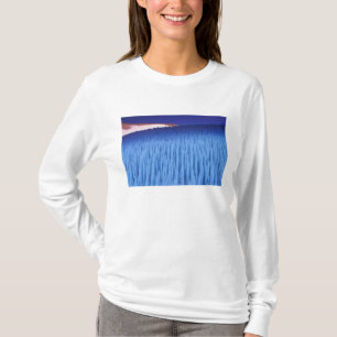 Camiseta SA, Chile, Região de Coquimbo, Nieve Penitente;