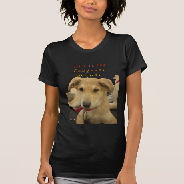 Camiseta Sabedoria ouro: Uma Visão Cachorra da Escola da Vi (Frente)