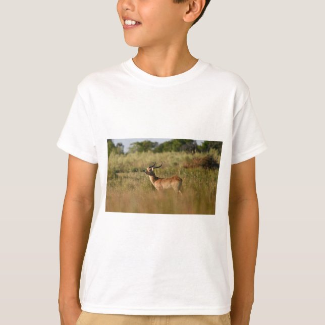 Camiseta Safari Adventure Buddy Animal Friend Tee for Kids (Frente)