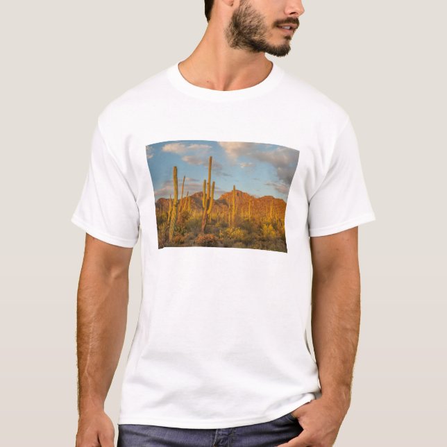 Camiseta Saguaro cactus no pôr do sol, Arizona (Frente)