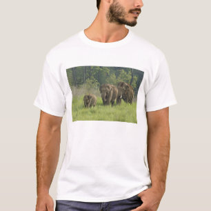 Camiseta Saída da família do elefante indiano
