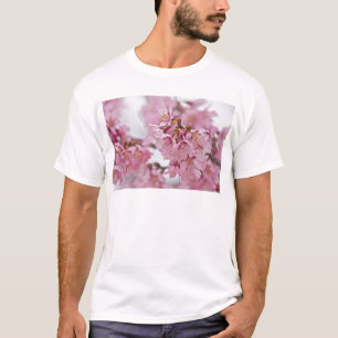 Camiseta Sakura Cherry Blossoms Rosa Pálido