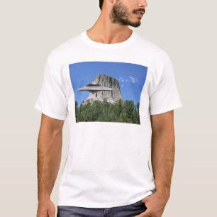 Camiseta Salamandra do UFO na torre dos diabos