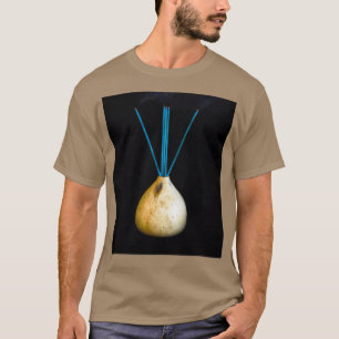 Camiseta Saldo