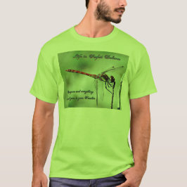 Camiseta Saldo com a Natureza