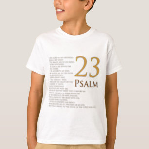 CAMISETA SALMO 23