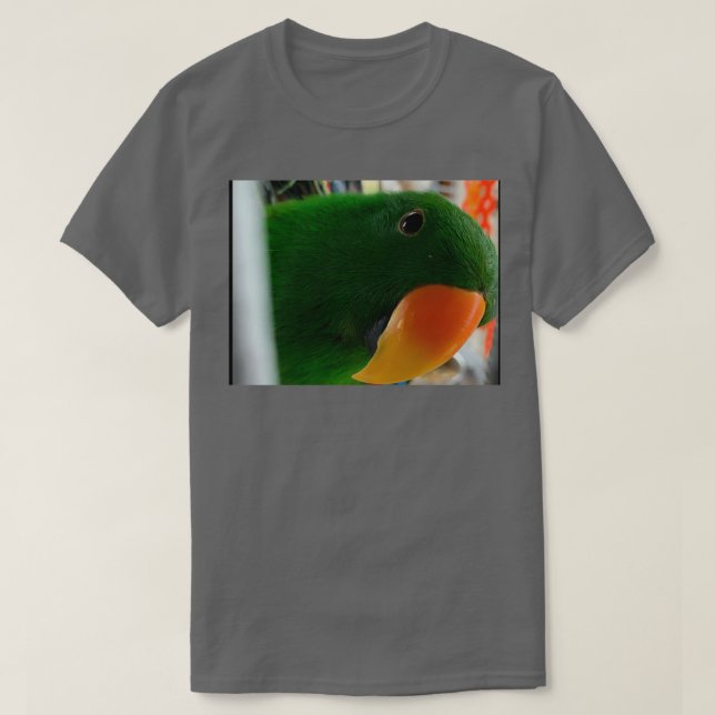 Camiseta Salomon Island Eclectus Parrot 1 (Frente do Design)