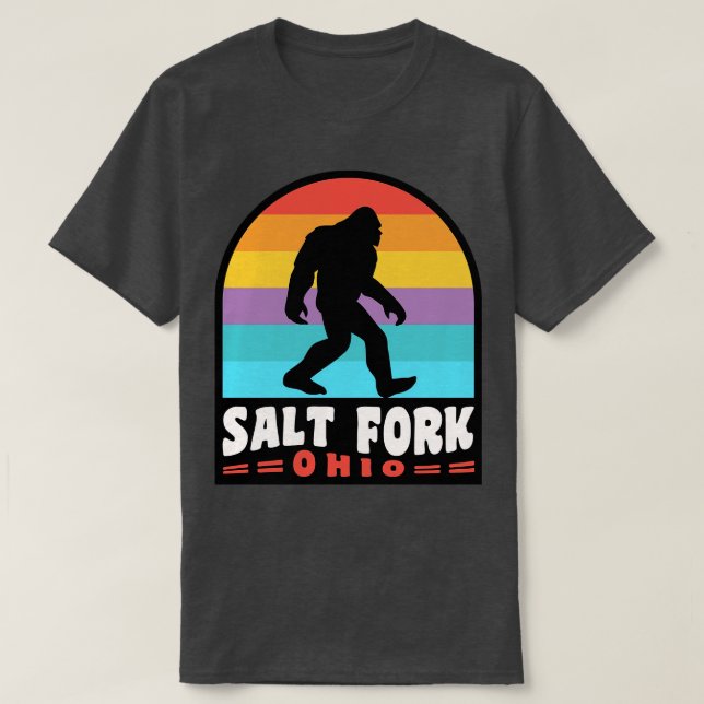 Camiseta Salt Fork State Park Ohio (Frente do Design)