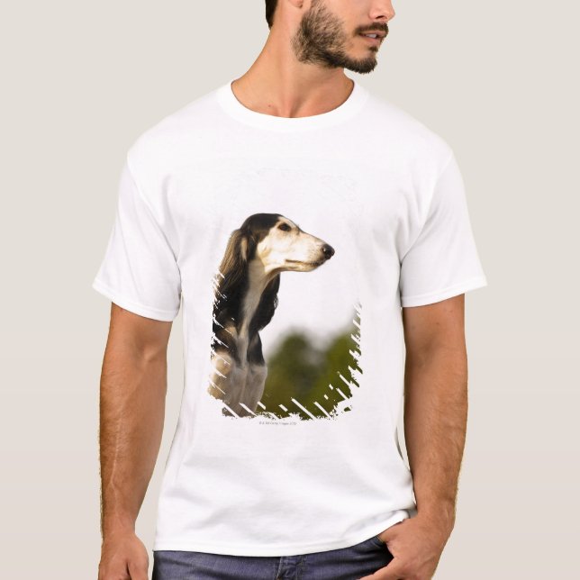 Camiseta Saluki 2 (Frente)
